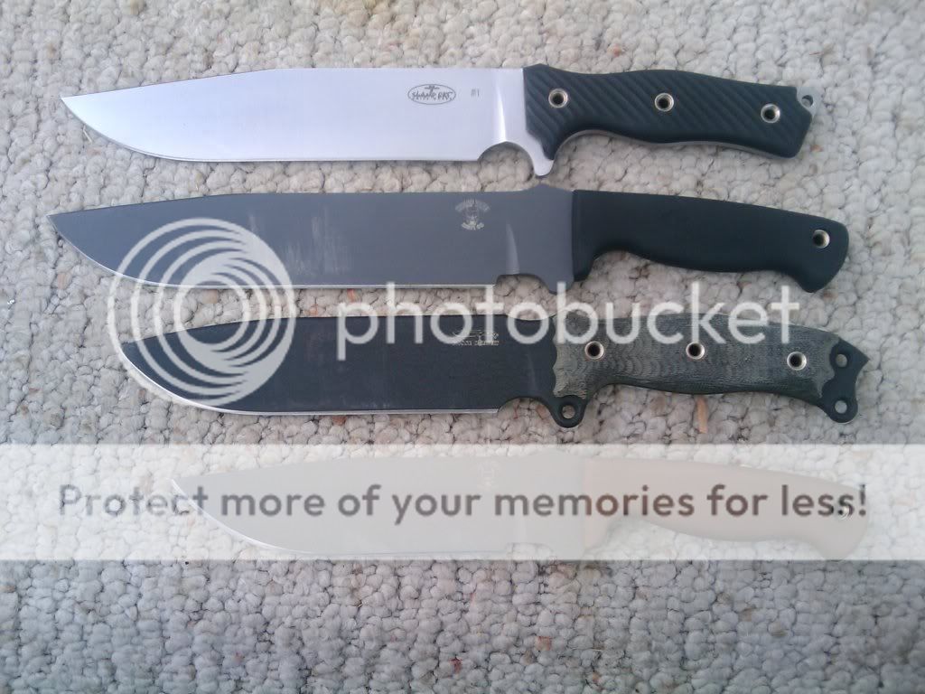 [Linked Image from i540.photobucket.com]