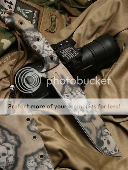 [Linked Image from i540.photobucket.com]