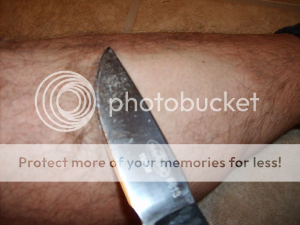 [Linked Image from i540.photobucket.com]