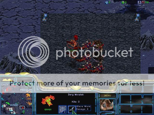 [image loading]