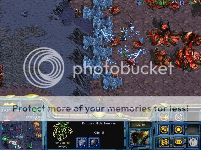 [image loading]