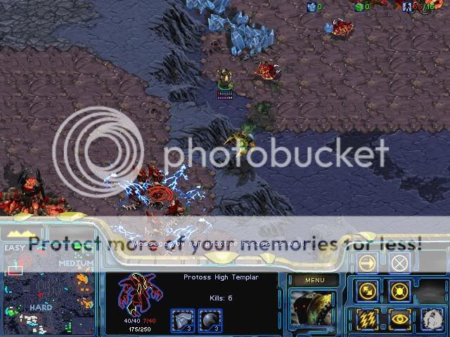 [image loading]
