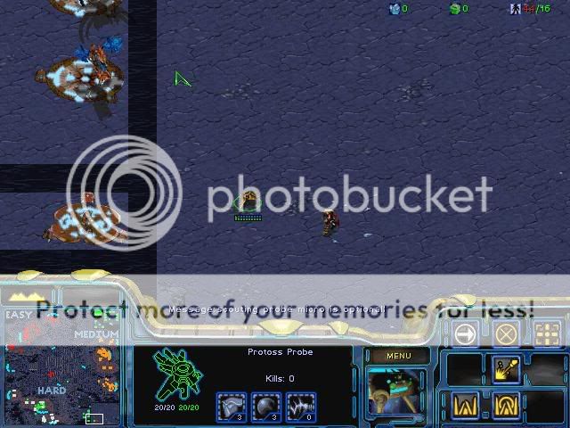 [image loading]