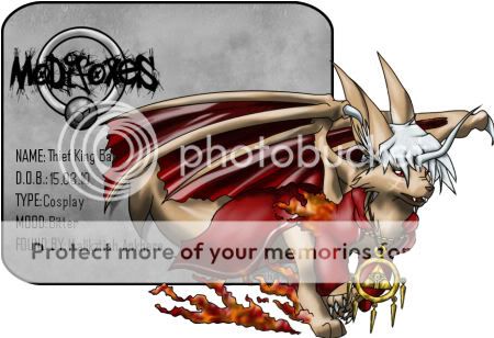 User Image