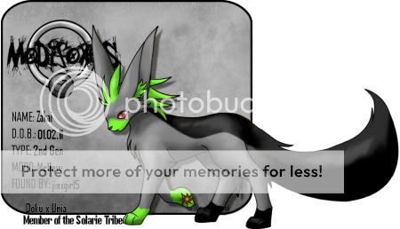 User Image