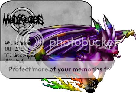 User Image